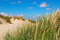 Naturimpression Texel von AD DESIGN Photo + PhotoArt