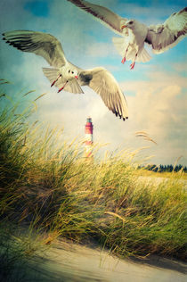 Maritime Impression by AD DESIGN Photo + PhotoArt