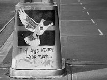 Fly and never look back von Frank Daske