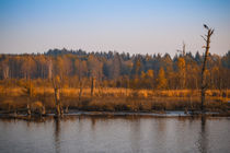 Ein Herbsttag im Schwenninger Moos - Villingen-Schwenningen by Christine Horn