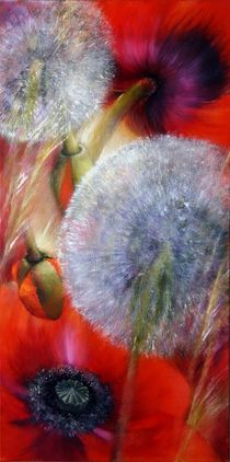 Mohn und Pusteblumen by Annette Schmucker