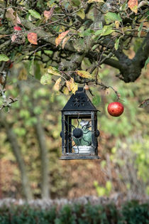 Herbstapfel by Nicole Bäcker