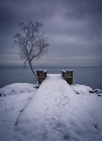 The tree and the pier by Nuno Borges