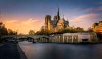 Notre Dame de Paris by Nuno Borges