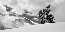 Arve vor Jungfrau by Bettina Schnittert