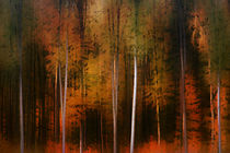 Herbstwaldrand by Bastian  Kienitz