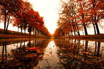 Der Herbst im Schweriner Schlossgarten.  by Stephan Darm