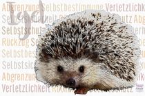 Igel - folgt seinem inneren Ruf by Astrid Ryzek