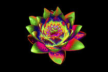 Abstract Water Lily-01 von David Toase