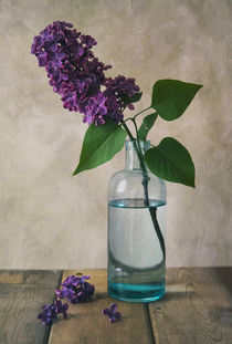 Fresh lilacs von Jarek Blaminsky