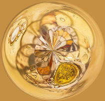 Amber Orb von Elisabeth  Lucas