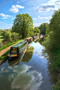 The Oxford Canal by Ian Lewis