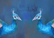 Peacock Love by Elisabeth  Lucas