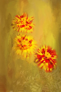 Pretty Marigolds von Elisabeth  Lucas