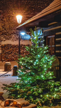 Christmas scenery in Prague by Tomas Gregor