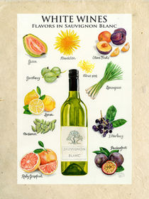 White Wines - Flavors in Sauvignon Blanc von Colette van der Wal