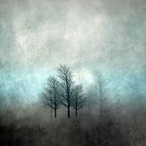 NOVEMBER FOREST COLORED MOODY-A von Pia Schneider