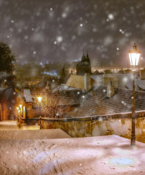 Castle Stairs, Prague by Tomas Gregor