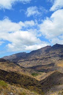 Berge auf Teneriffa by Sascha Stoll