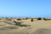 Dünen Maspalomas by Sascha Stoll