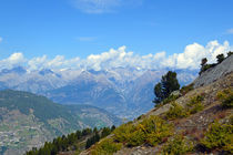 Schweizer Alpen von Sascha Stoll