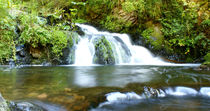 Wasserfall im Schwarzwald von Sascha Stoll