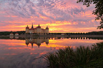 Morning Sun von Stefan Weiß