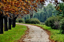 The landscape alley von Aleks de Kairo