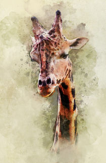 Pretty giraffe portrait von Jarek Blaminsky