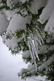 Eiszapfen mit Schneemütze... 1 von loewenherz-artwork