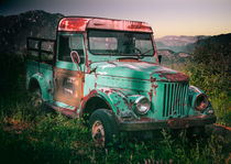 Forgotten Green Truck von Jarek Blaminsky