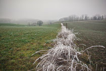 Winterlandschaft mit Nebel und Raureif II von Christine Horn