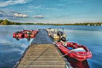 Landing Stage von Ian Lewis