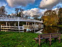Whitchurch Toll Bridge by Ian Lewis