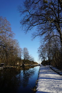 Schloßpark Nymphenburg - Winteransicht by Renate Dienersberger