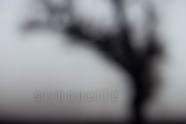 silhouette von imagosilence