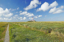 Westerhever - Stockenstieg durch die Salzwiesen by Olaf Schulz