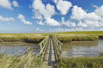 Westerhever - Holzbrücke über ein Priel in den Salzwiesen von Olaf Schulz