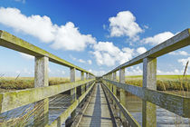 Westerhever - Holzbrücke in den Salzwiesen by Olaf Schulz