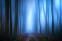 Cold walk in the forest by Stefan Kierek