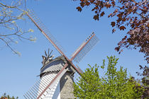 Flügel der Windmühle Dützen (Minden) von Olaf Schulz