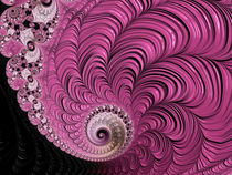 Pink Baroque Spiral von Elisabeth  Lucas