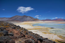 Atacama Salt Lake by David Hare