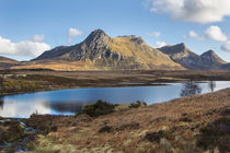 Ben Loyal by David Hare