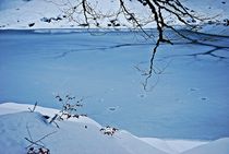 Winter am Eibsee... 3 von loewenherz-artwork