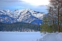 am Eibsee im Winter... 1 by loewenherz-artwork