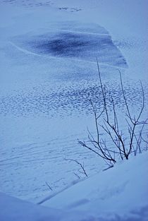 am Eibsee im Winter... 4 by loewenherz-artwork