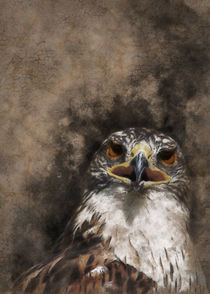 Eagle head by Carlos Enrique Duka