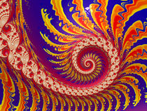 Attractive Colorful Spiral von Elisabeth  Lucas