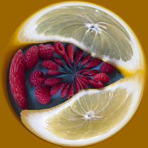 Lemon and Berry Orb 1 by Elisabeth  Lucas